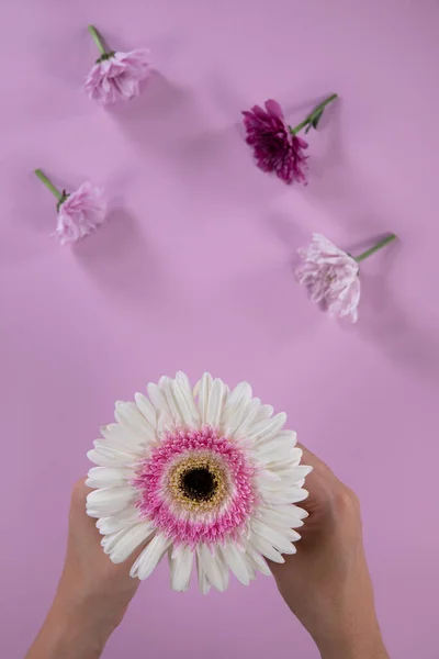 Nagy Kilátás Kezében Egy Színes Virág Egyéb Virágok Kezét Rózsaszín — Stock Fotó