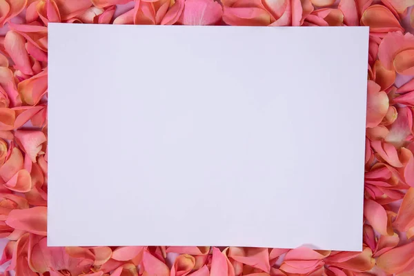 Zbliżenie Białej Kartki Różowym Tle Płatków Kwiatów Walentynki — Zdjęcie stockowe