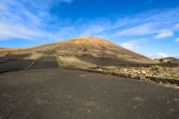 Spanien Kanarieöarna Nationalparken Timanfaya Lanzarote — Stockfoto