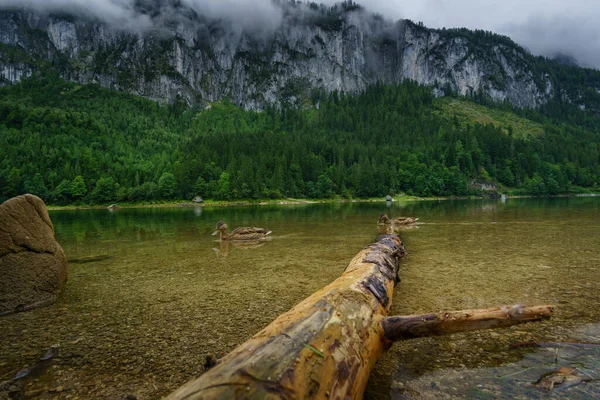 Gosausee Österreich — Stockfoto