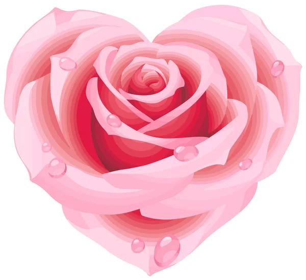 Coeur Rose Rose Forme Romantique Amour Illustration — Photo