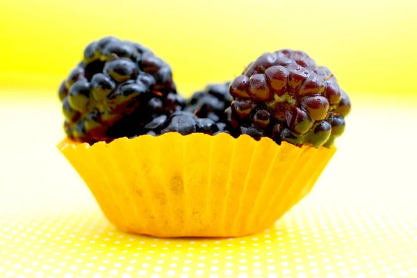 Heerlijke Chocolade Muffins Met Bosbessen Munt — Stockfoto