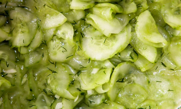 Salad Mentimun Lezat Dengan Dill Dan Herbal Lainnya — Stok Foto