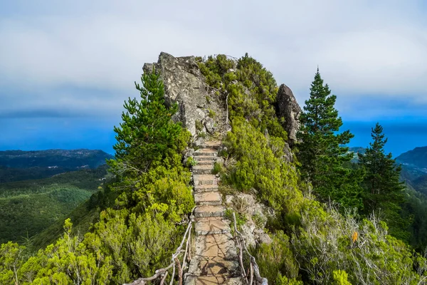 Portugal Ilhas Canárias Madeira Santana Parque Florestal Das Queimadas — Fotografia de Stock