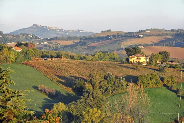 Hermosa Vista Del Campo — Foto de Stock