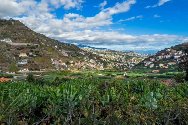 Utsikt Över Bergen Sommaren — Stockfoto