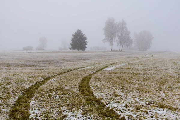 Tractor Tracks Meadow — Stock Photo, Image