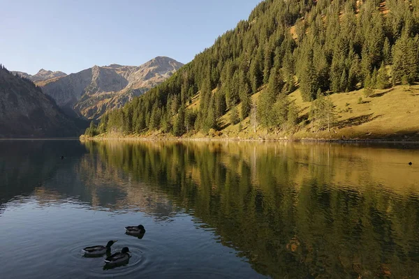 Hory Údolí Tannheimer Tyrolsku Rakousku Odrážejí Čistých Vodách Vilsalpsee — Stock fotografie