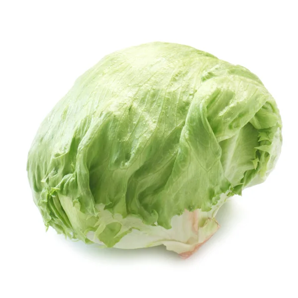 白色背景下的新鲜绿色卷心菜 — 图库照片