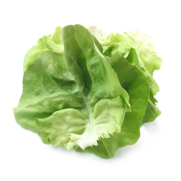 Lechuga Verde Fresca Aislada Sobre Fondo Blanco — Foto de Stock