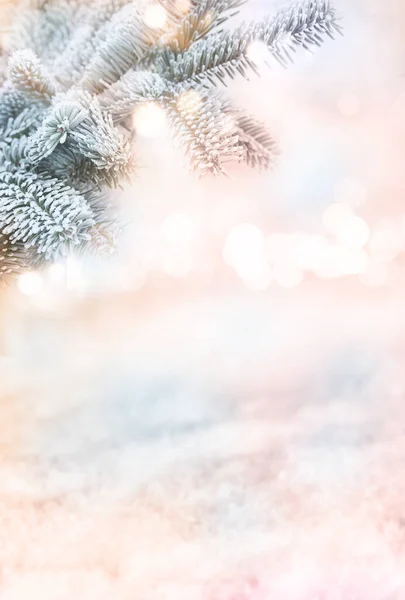 Рождество Рождественский Фон Праздничный Золотой Боке Еловых Ветвях Перед Абстрактным — стоковое фото