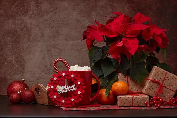 Fiori Poinsettia Rossa Vassoio Con Biscotti Allo Zenzero Mandarini Tazza — Foto Stock