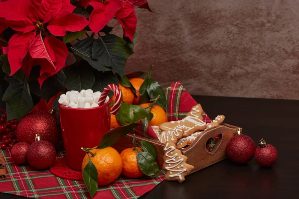 Fiori Poinsettia Rossa Vassoio Con Biscotti Allo Zenzero Mandarini Tazza — Foto Stock