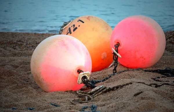 Playa Mar Rojo Con Frutas Maduras Gotas Agua — Foto de Stock