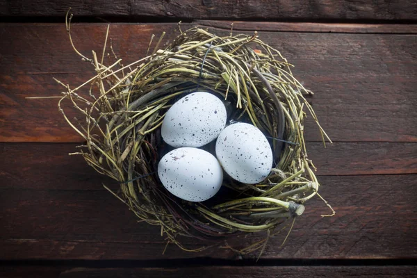 Oeufs Pâques Dans Nid Sur Fond Bois — Photo