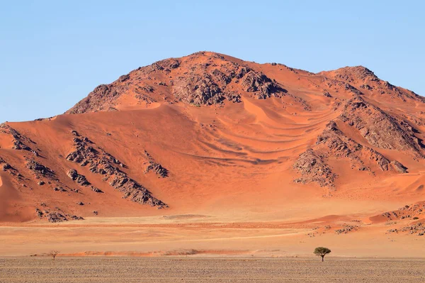 Rozeklané Duny Sossusvlei Poušť Namib Namibie — Stock fotografie