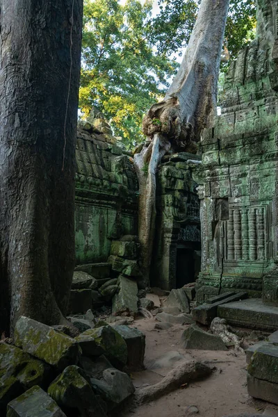 Angkor Wat Siem Cosechar Cambodia — Foto de Stock