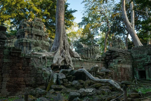 Angkor Wat Siem Reap Kambodscha — Stockfoto