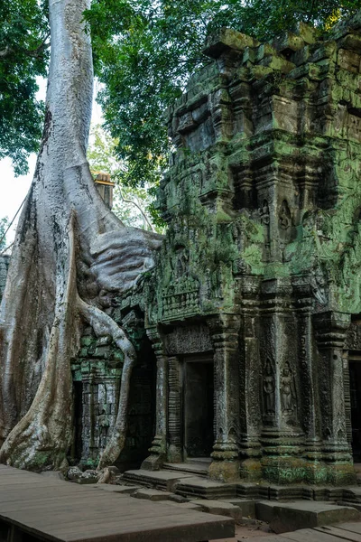 Angkor Wat Siem Cosechar Cambodia — Foto de Stock