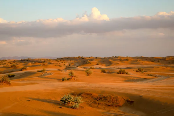 Вид Пустынный Пейзаж Вечерним Солнцем — стоковое фото