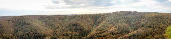 Beau Paysage Automne Avec Arbres Forêt — Photo