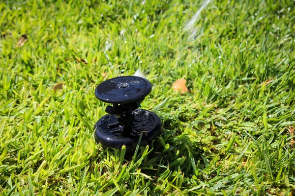 Ein Ausfahrbarer Sprinkler Einsatz — Stockfoto