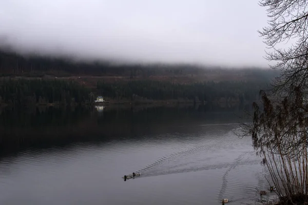 Озеро Титизе Немецком Черном Лесу Облаками — стоковое фото