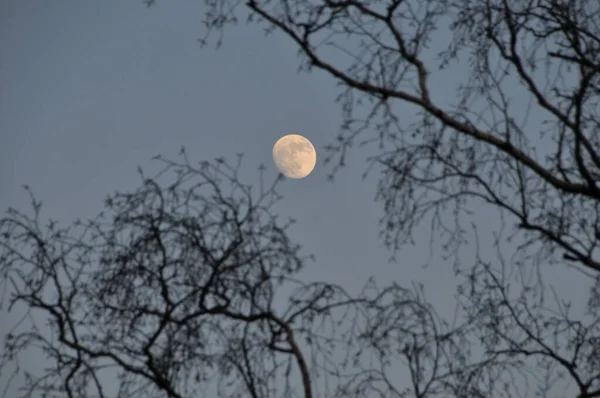 Moon Night Sky — Stock Photo, Image