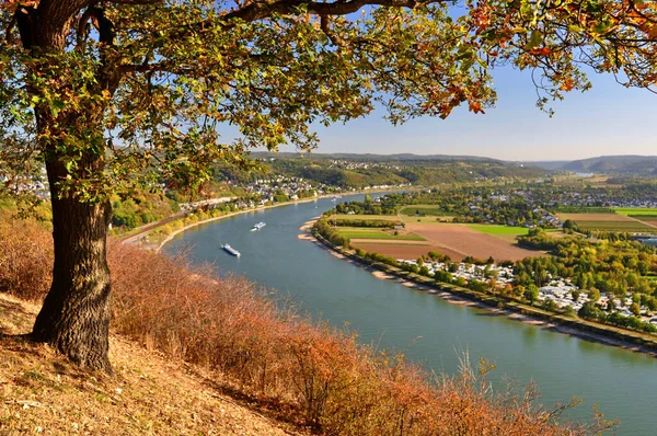 Rhine Oleh Linz — Stok Foto