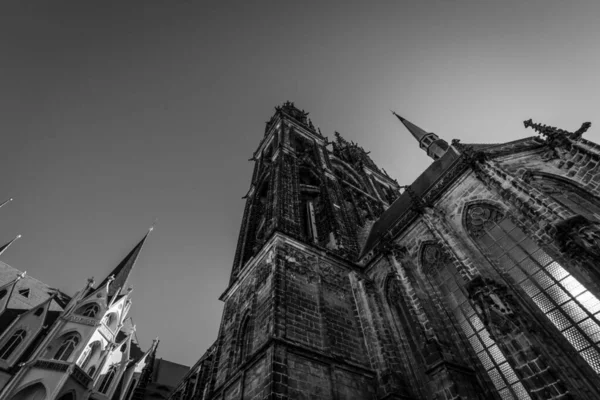 Catedral Meissen Igreja São João São Donato Alemanha Preto Branco — Fotografia de Stock