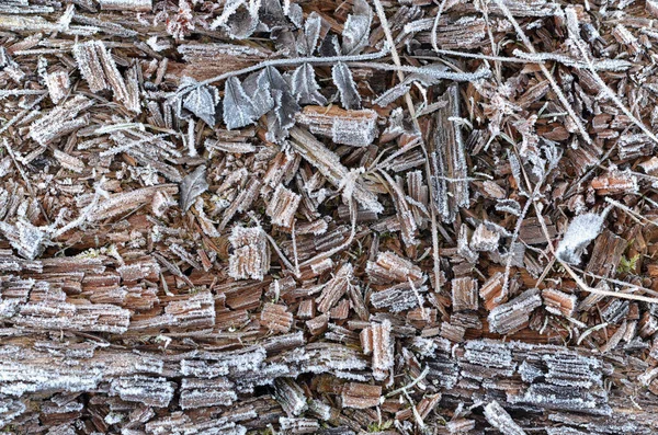 Fából Készült Fagyasztott Természetes Anyagok — Stock Fotó