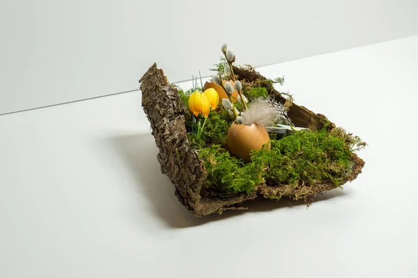 Easter Decoration Egg Shell — Stock Photo, Image