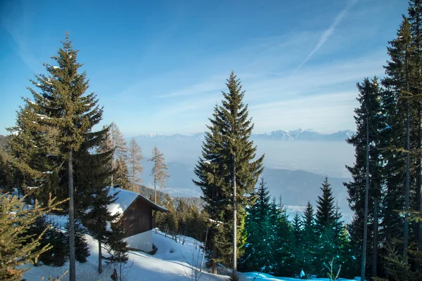 Beau Paysage Hivernal Avec Des Arbres Enneigés — Photo