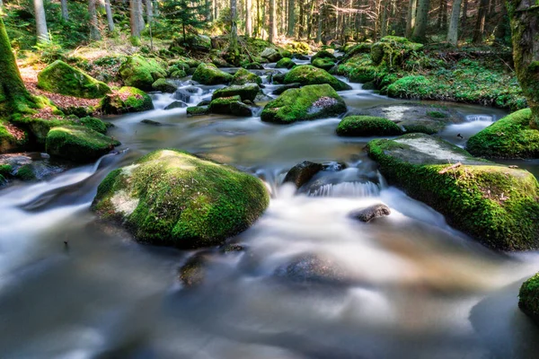 Otterbachtal Floresta Baviera — Fotografia de Stock