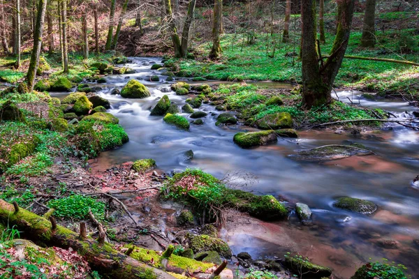 Otterbachtal Floresta Baviera — Fotografia de Stock