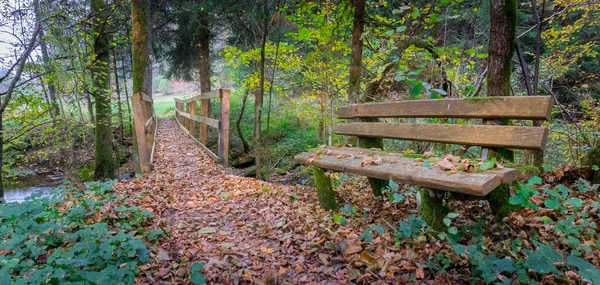 Senderismo Lalling Bosque Bavariano — Foto de Stock