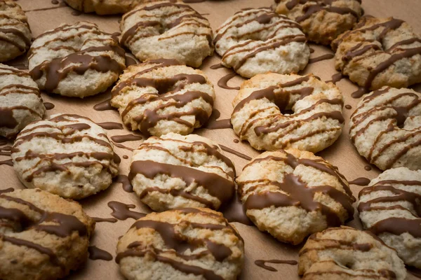 stock image chocolate cookies with nuts and sugar