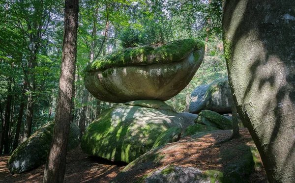 バイエルンの森の中の石 — ストック写真
