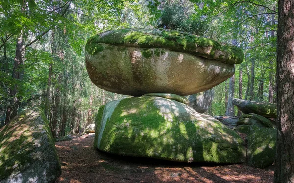Дерев Яний Камінь Баварському Лісі — стокове фото