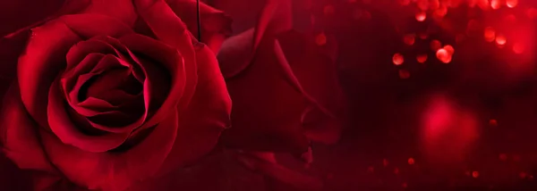 明るいボケと抽象的な心を持つ暗赤色のバラの背景 バレンタインデーと結婚式のための愛の概念 テキストとデザインのためのスペース — ストック写真