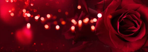 Dark Red Roses Background Luminous Bokeh Abstrakt Hearts Love Concept Royalty Free Stock Images
