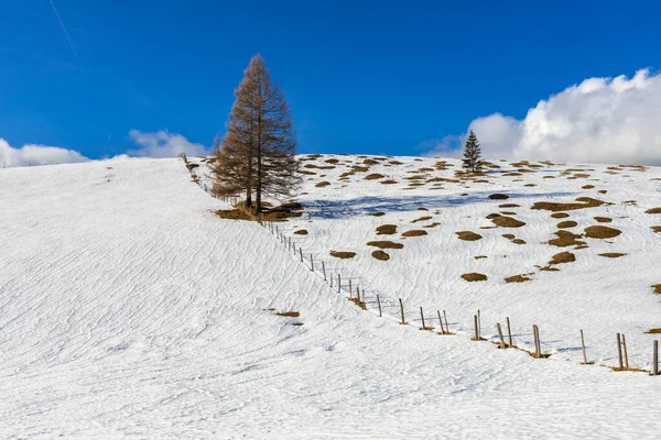 Prati Montuosi Karwendel Montagne — Foto Stock