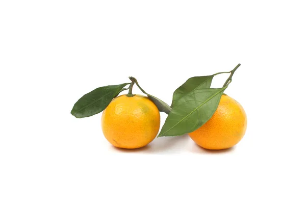 Ώριμα Tangerines Φύλλα Που Απομονώνονται Λευκό Φόντο — Φωτογραφία Αρχείου