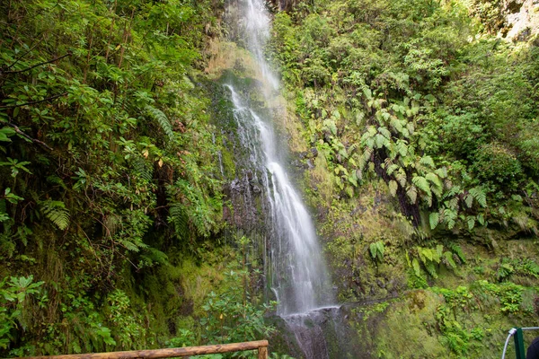 Waterval Naast Het Wandelpad Levada Caldeirao Verde Bij Santana Madeira — Stockfoto