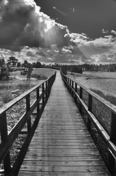 Muelle Madera Parque — Foto de Stock