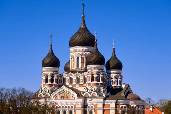 Kilátás Alexander Nevsky Katedrális Fővárosa Estonia Tallinn Híres Középkori Város — Stock Fotó