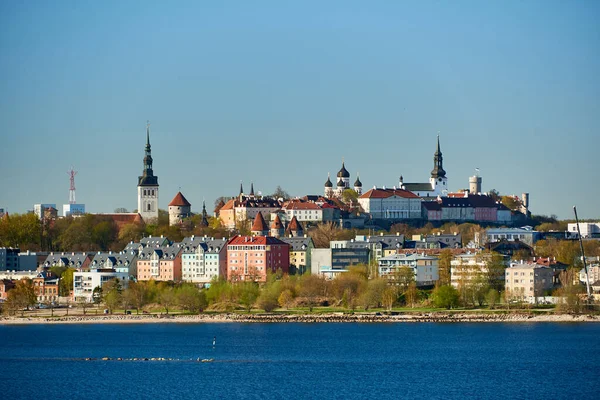 도시인에 스토니아 의수도 보인다 — 스톡 사진