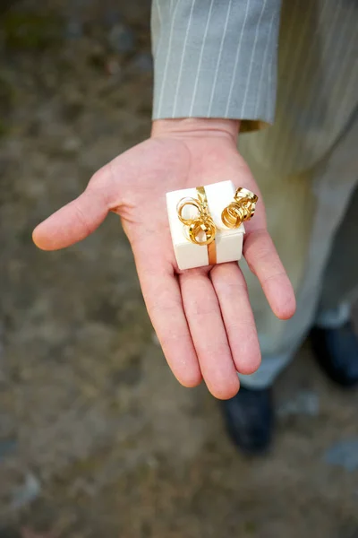 Man Holding Bunch White Blue Hands — Stock Photo, Image