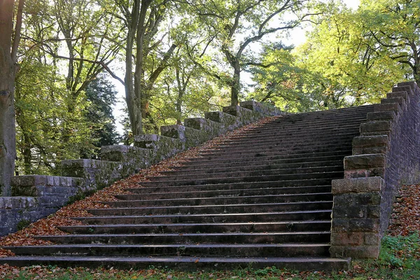 公園の階段 — ストック写真