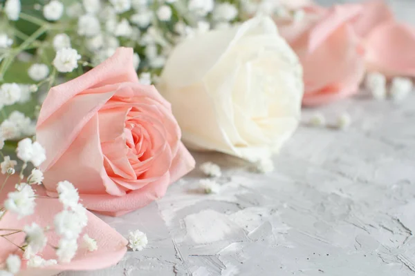 Κρέμα Και Ροζ Τριαντάφυλλα Μικρά Λευκά Λουλούδια Κοντά Γκρι Φόντο — Φωτογραφία Αρχείου